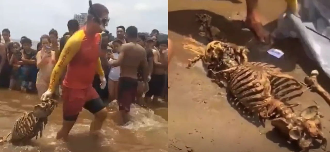 Ossada Humana é Encontrada Na Praia Da Ponta Negra Em Manaus