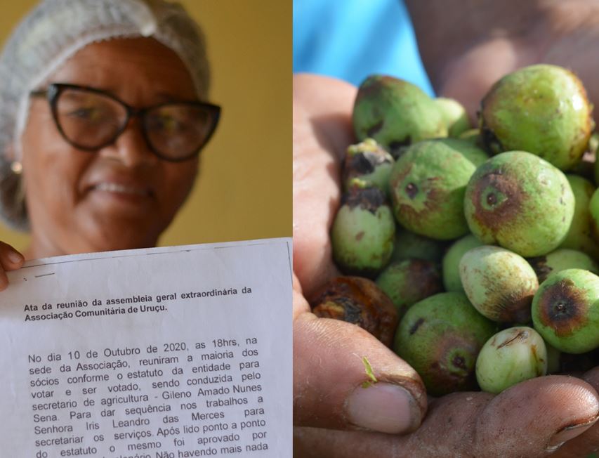 Associação Que Fatura Mais De R$ 30 Mil Por Ano Na Bahia