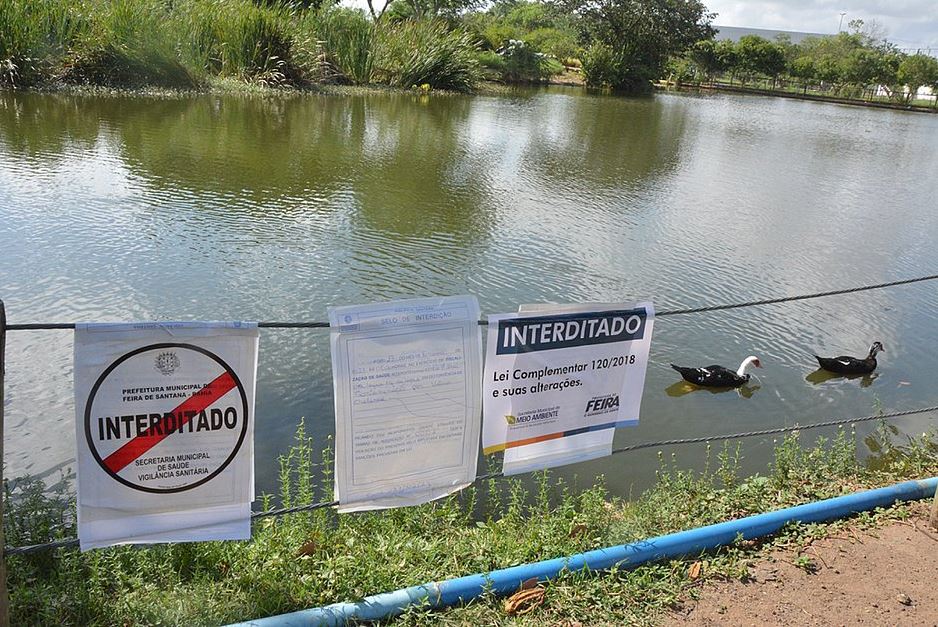 Lagoa Em Feira De Santana É Interditada Após Bactéria Que Causa Cólera Ser Encontrada