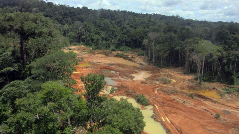 Governo Recebe Informações Sobre Saídas Espontâneas De Garimpeiros Da Terra Yanomami