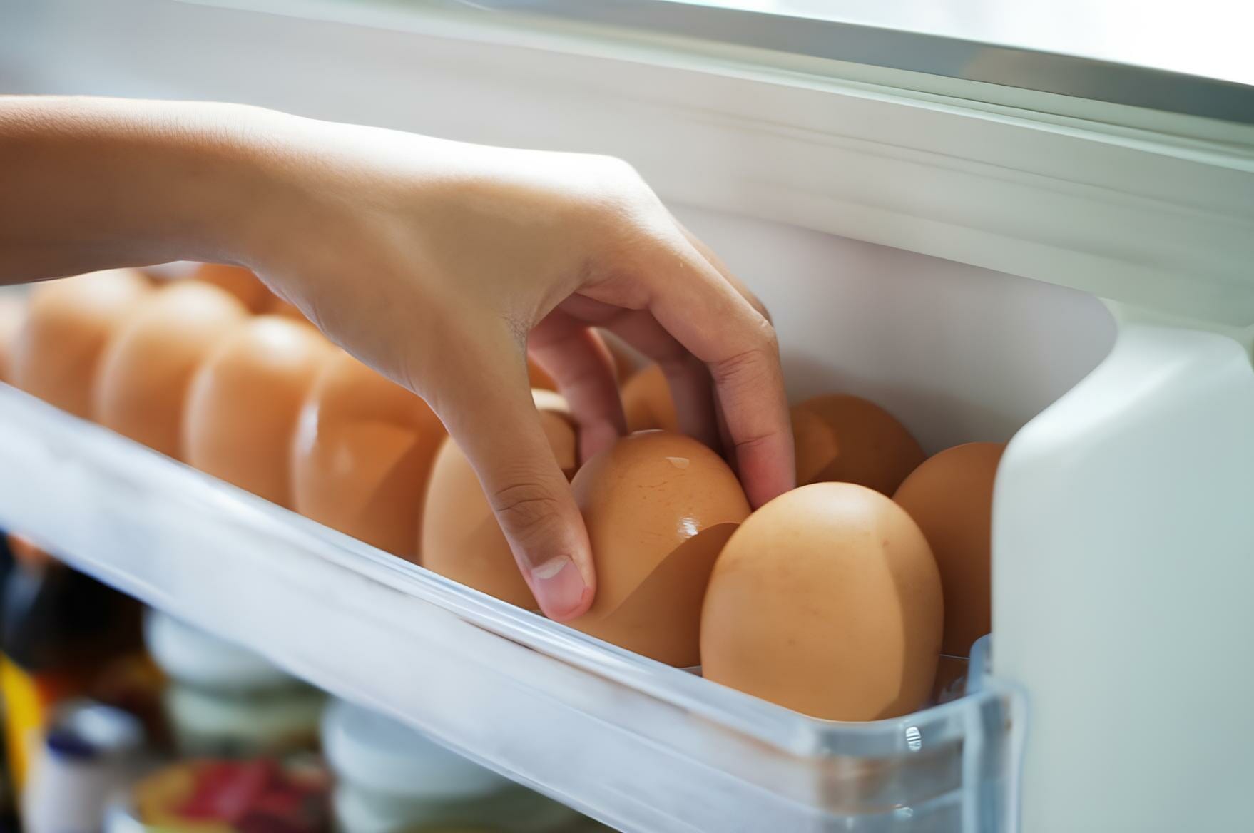 Riscos À Saúde: Entenda Por Que Você Não Deve Guardar Ovos Na Porta Da Geladeira