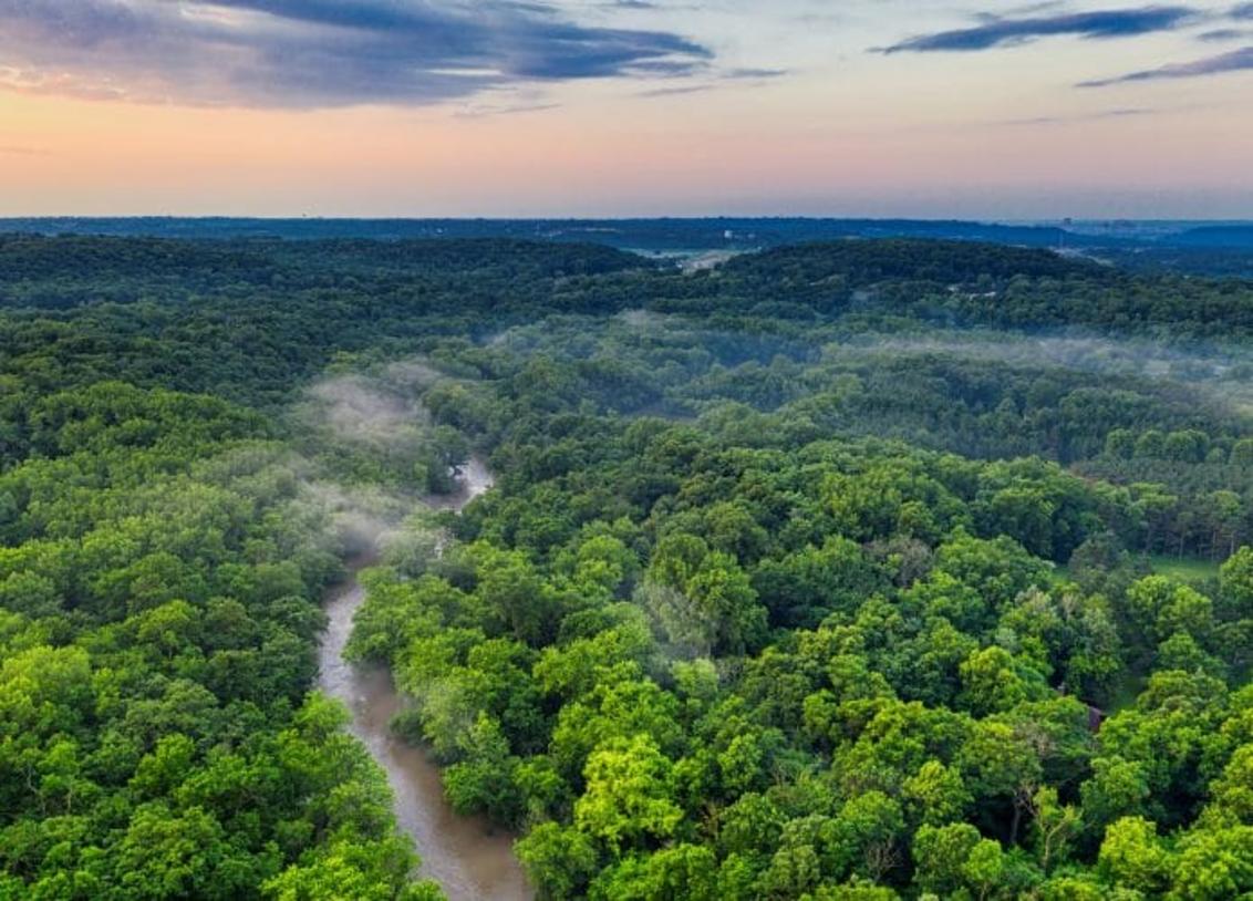 Amazônia