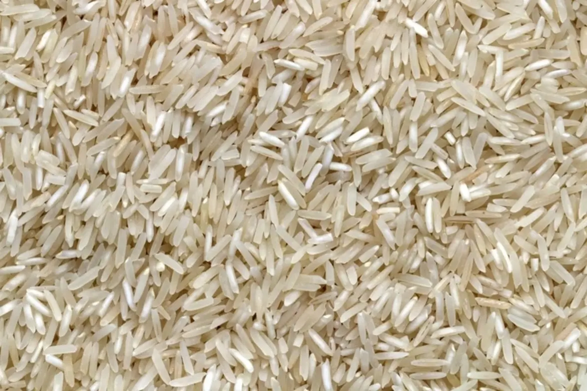 Pf Apura Denúncias De Irregularidades Em Leilão De Arroz Da Conab