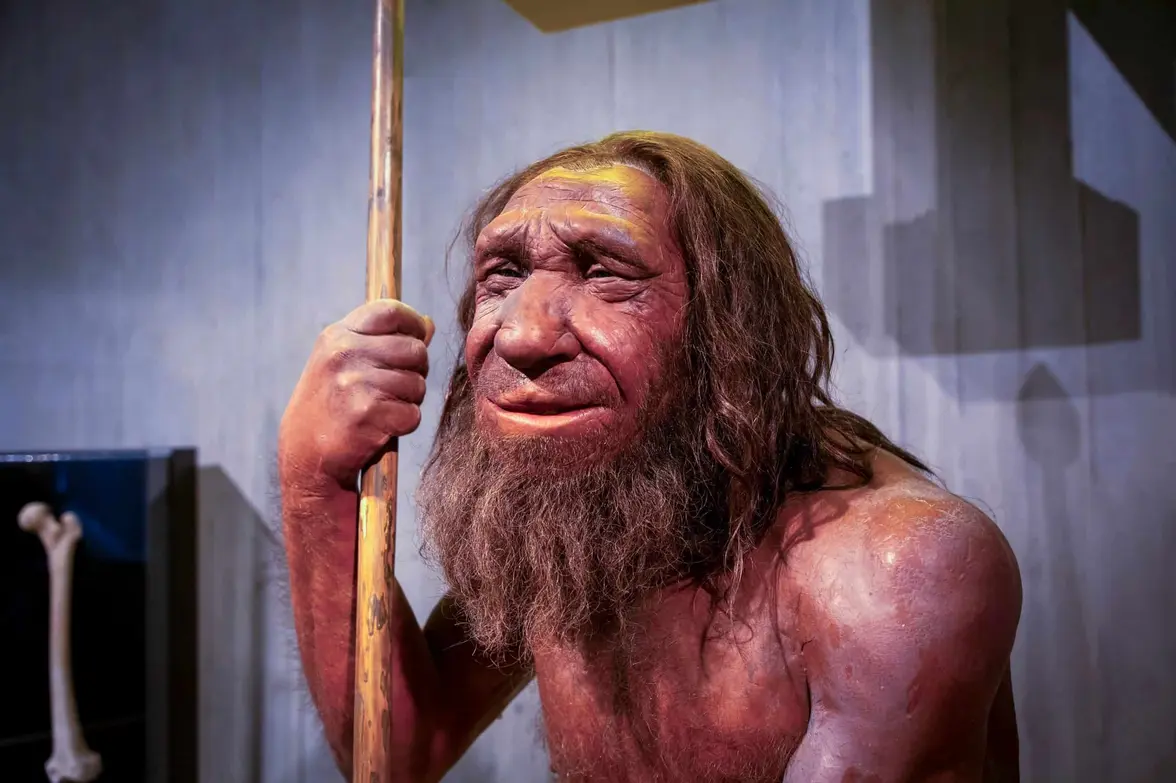 Dna De Neandertais Tem Traços Dos Primeiros Humanos, Mostrando Que Nossos Antepassados Deixaram A África Bem Antes Do Que Se Imaginava (Imagem: Esin Deniz/Shutterstock)