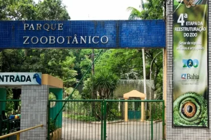 Foto: Reprodução / Parque Zoobotânico