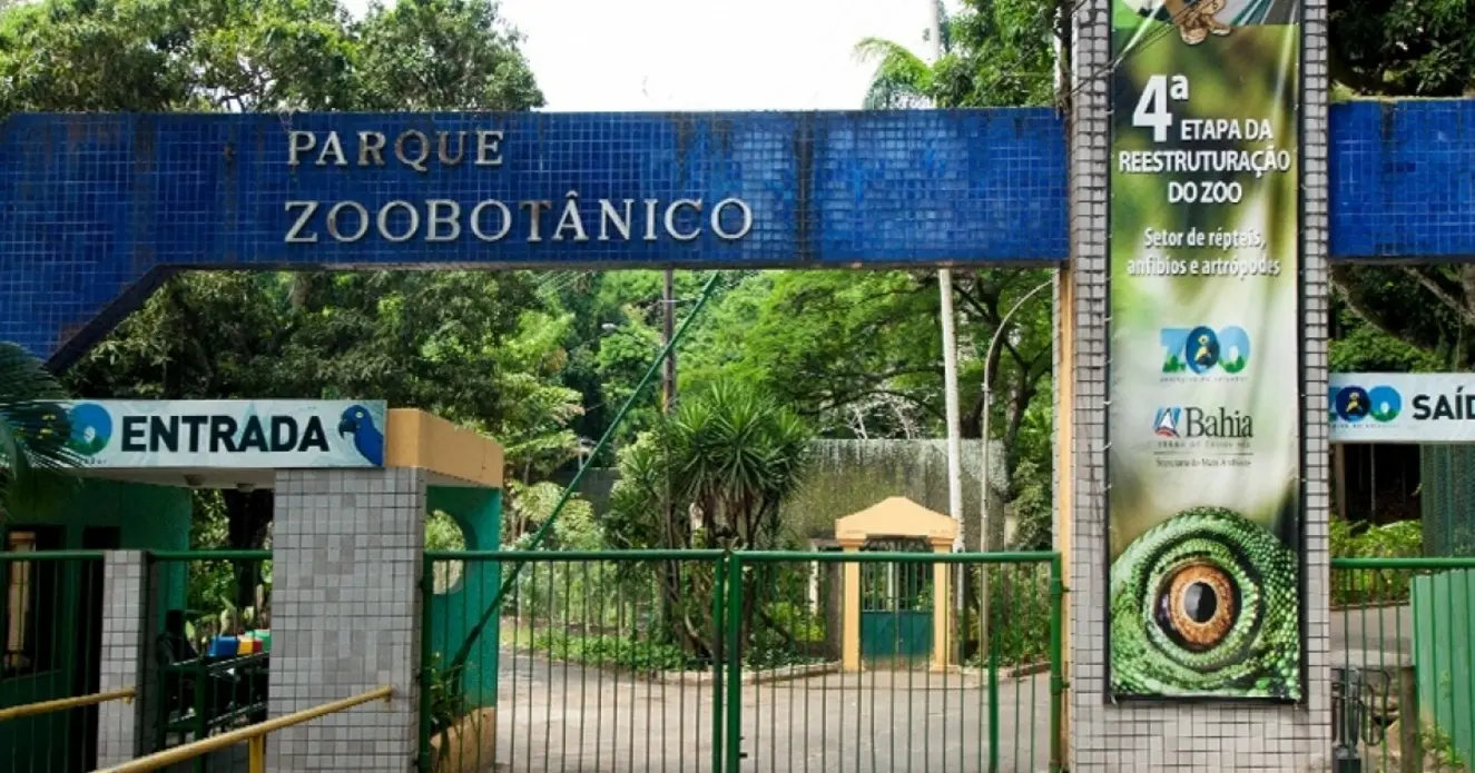 Foto: Reprodução / Parque Zoobotânico