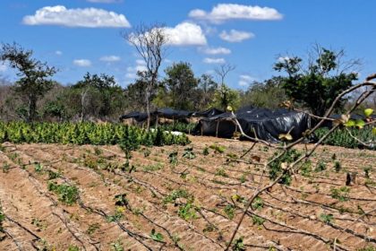 Foto: Reprodução / Ssp