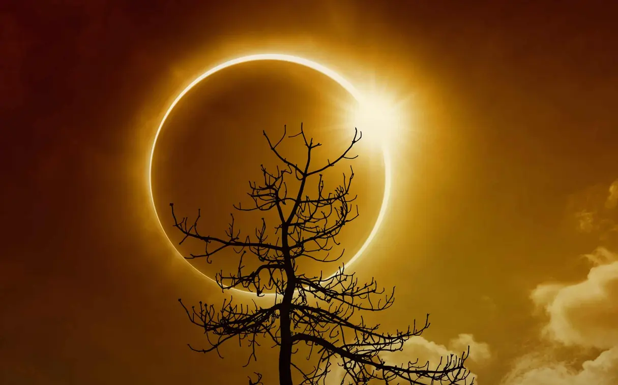 Em Um Eclipse Solar Anular, É Formado Um &Quot;Anel De Fogo&Quot; No Céu. Crédito: Igorzh - Shutterstock