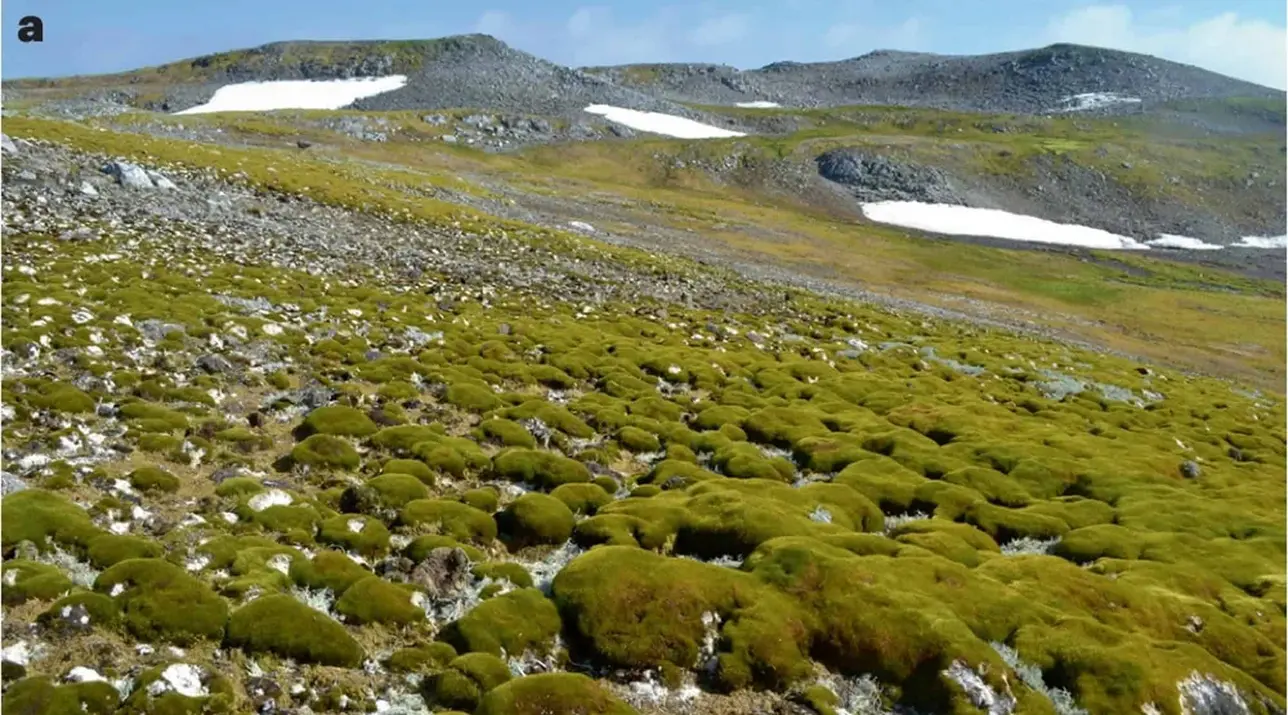 Região Passou Por Mudanças Nos Últimos 60 Anos (Imagem: Roland Et Al.,2024/Nature Geoscience)