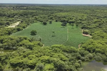 Foto: Reprodução / Achei Sudoeste