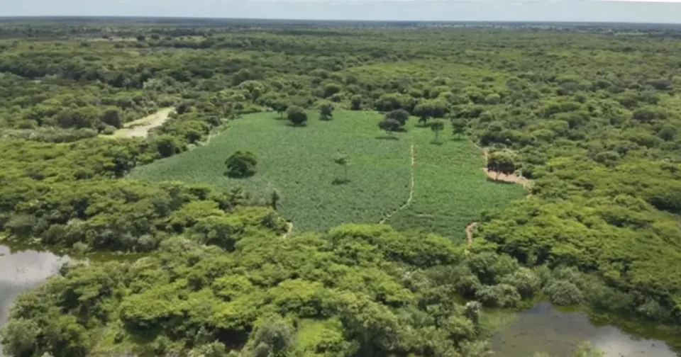 Foto: Reprodução / Achei Sudoeste