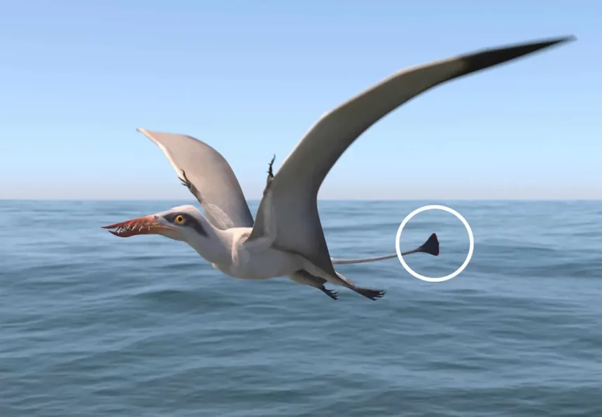 Renderização 3D De Um Pterossauro Rhamphorhynchus Muensteri Voando Raso Sobre O Mar. Crédito: Oleg Kuznetsov - 3Depix, Sob Licença Creative Commons