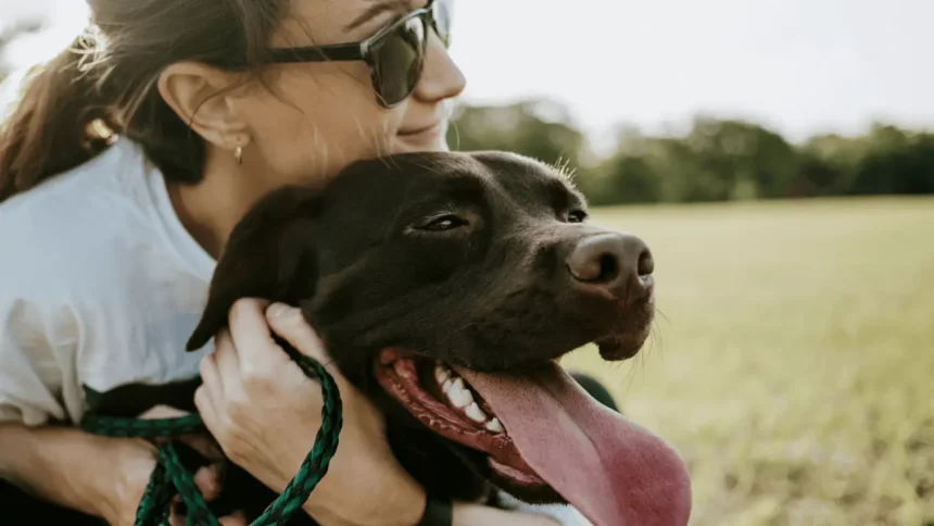 Mulher Abraçando Cachorro (Reprodução: Wade Austin Ellis/Unsplash)