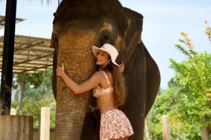 Mari Gonzalez Compartilha Passeio Com Elefantes Na Tailândia (Reprodução/Instagram)