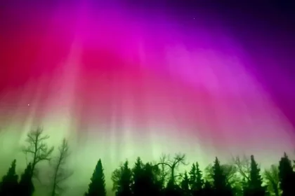 Março É O Mês Ideal Para Ver A Aurora Boreal Em Seu Auge (Imagem: Makayla Donkin/Shutterstock)