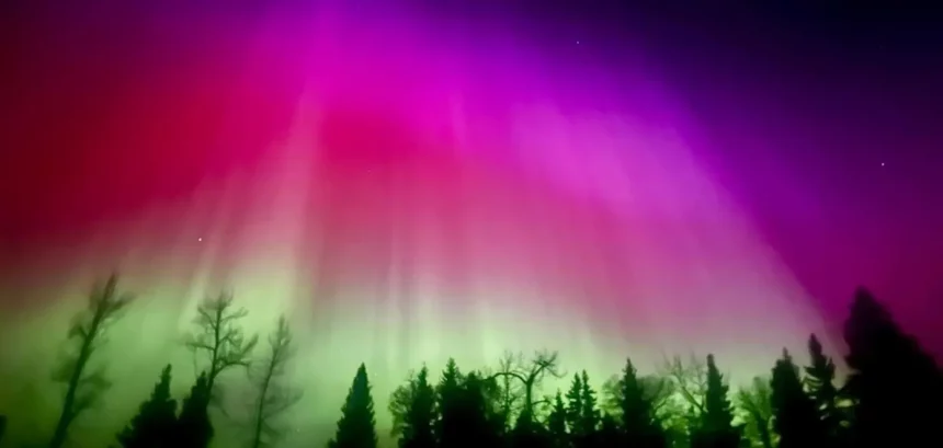 Março É O Mês Ideal Para Ver A Aurora Boreal Em Seu Auge (Imagem: Makayla Donkin/Shutterstock)