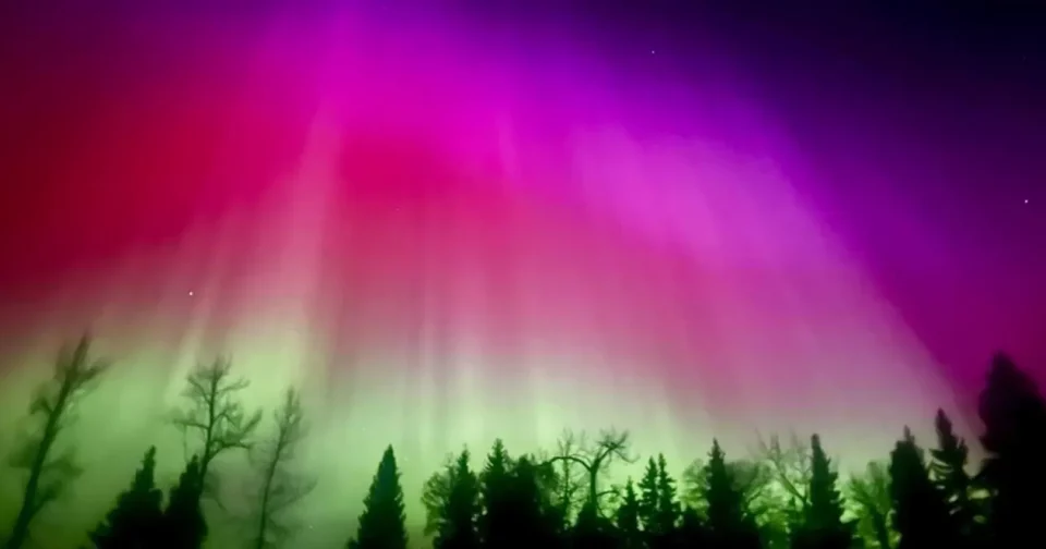 Março É O Mês Ideal Para Ver A Aurora Boreal Em Seu Auge (Imagem: Makayla Donkin/Shutterstock)