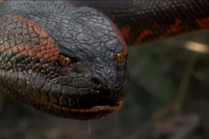 Anaconda (1997) / Crédito: Sony Pictures Releasing (Divulgação)