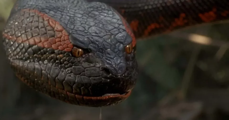 Anaconda (1997) / Crédito: Sony Pictures Releasing (Divulgação)