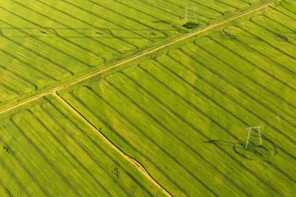 Metodologia Brasileira Aprimora A Identificação Geoespacial Com Ia E Sensoriamento Remoto (Imagem: Dragos Asaftei/Shutterstock)