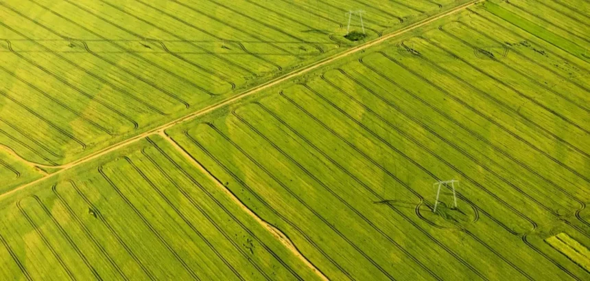 Metodologia Brasileira Aprimora A Identificação Geoespacial Com Ia E Sensoriamento Remoto (Imagem: Dragos Asaftei/Shutterstock)