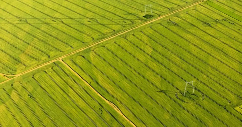 Metodologia Brasileira Aprimora A Identificação Geoespacial Com Ia E Sensoriamento Remoto (Imagem: Dragos Asaftei/Shutterstock)